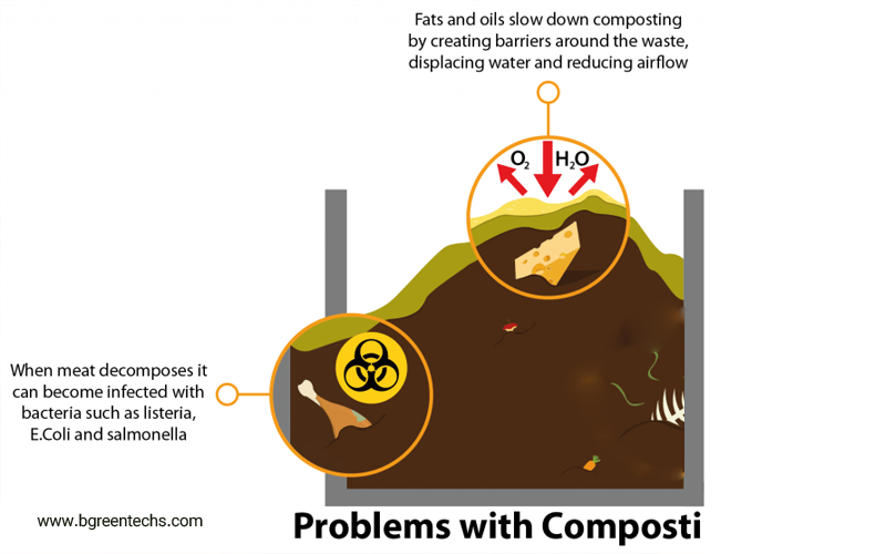 problem of food waste